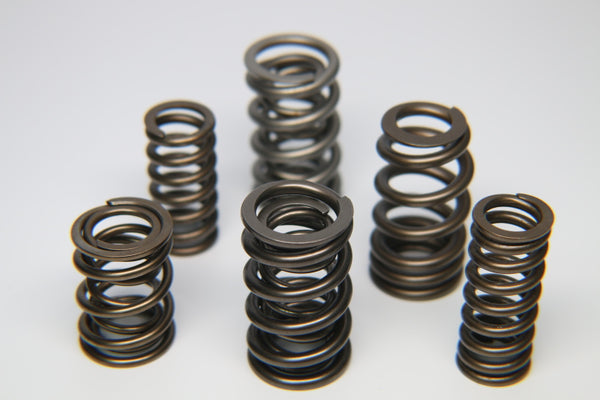 Ferrea Toyota 1GR-FE Single Valve Spring - Single