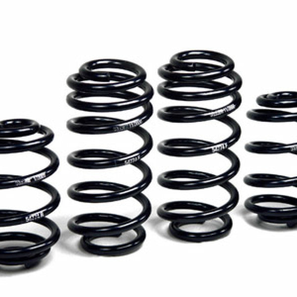 H&R 01-05 Volkswagen Passat Sedan/Passat Wagon VR6/TDI B5.5 Facelift Sport Spring