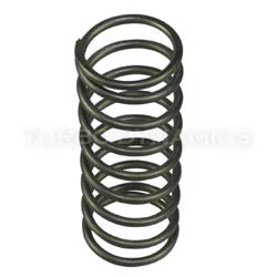 Tial 12 PSi BOV Spring